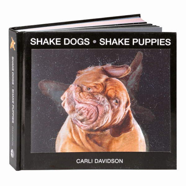 Shake Dogs, Shake Puppies