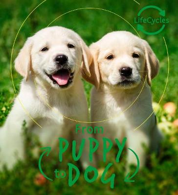 Lifecycles - Pup To Dog