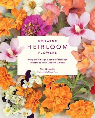 Growing Heirloom Flowers: Bring the Vintage Beauty of Heritage Blooms to Your Modern Garden