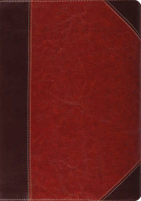 ESV Study Bible