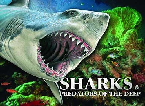 Sharks & Predators of the Deep