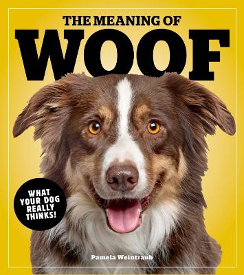 The Meaning Of Woof: What Your Dog Really Thinks!