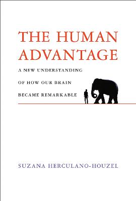 The Human Advantage: A New Understanding of How Our Brain Became Remarkable