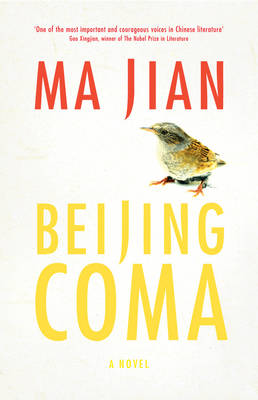 Beijing Coma