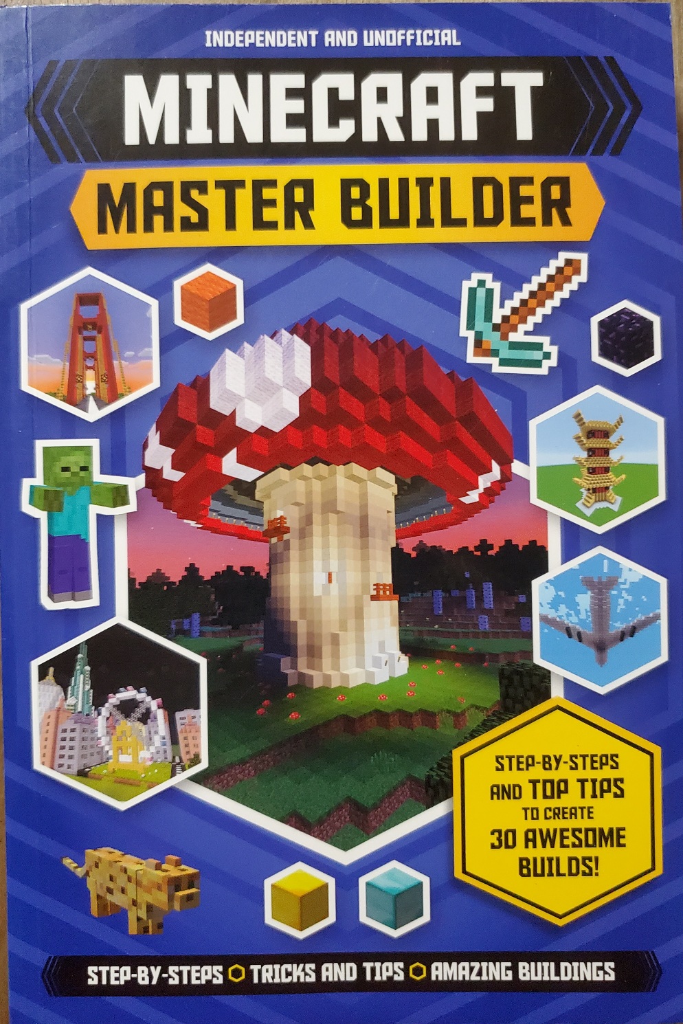 Minecraft Master Builder