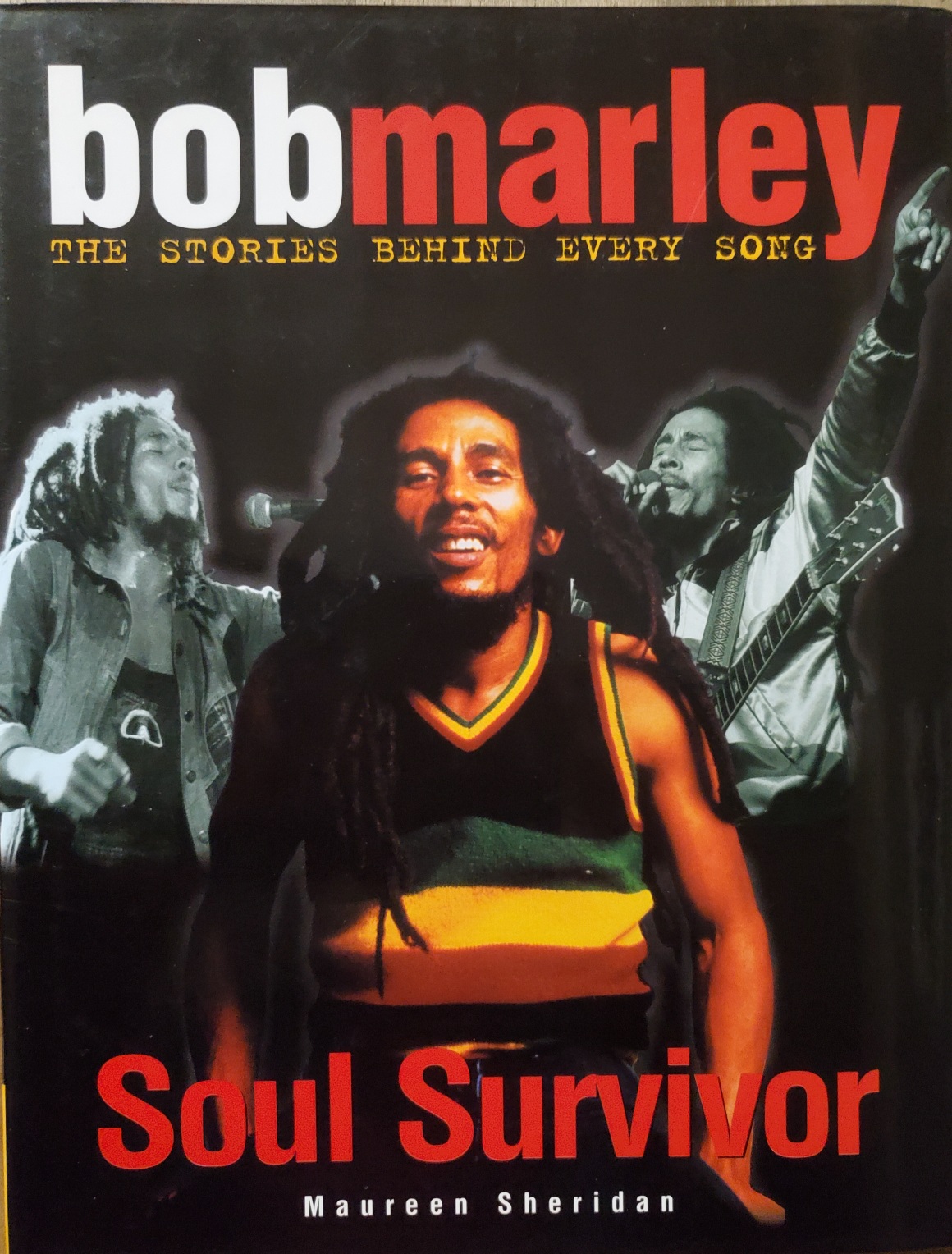 Bob Marley: The Stories Behind Every Song: Soul Survivor