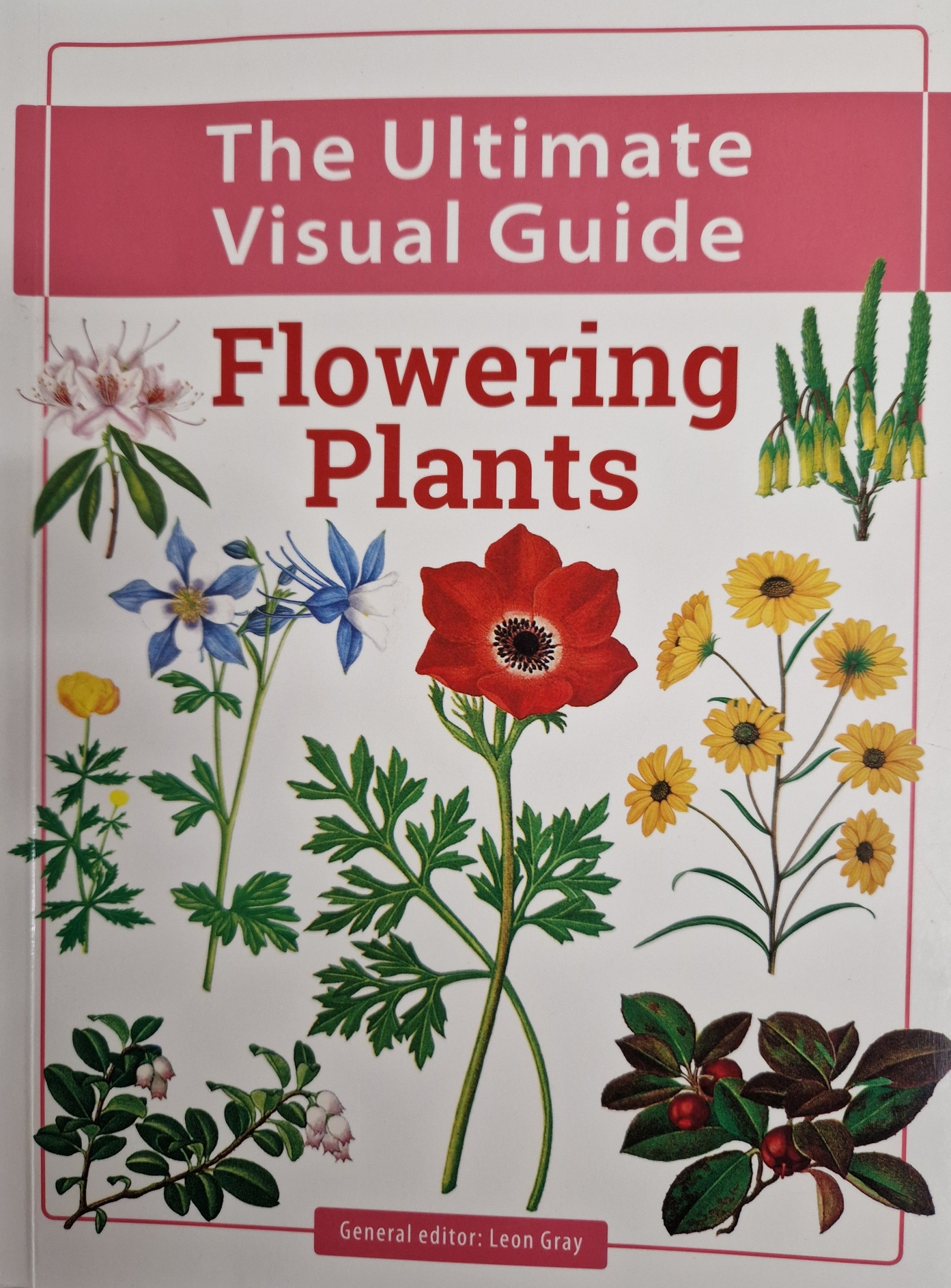 Flowering Plants: Ultimate Visual Guide