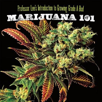 Marijuana 101: Professor Lee's Introduction to Growing Grade A Bud